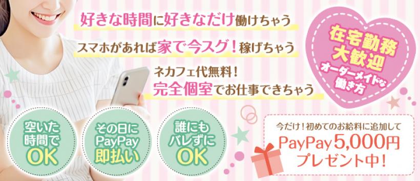 スクワール~浜松~の求人
