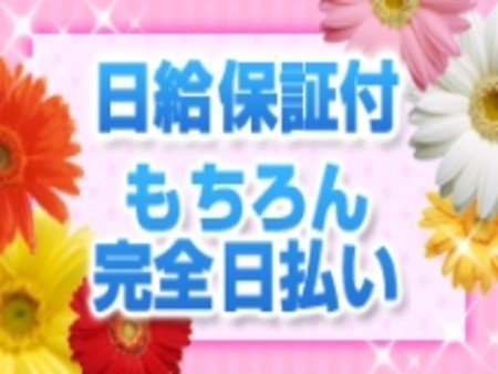 日給保証付!