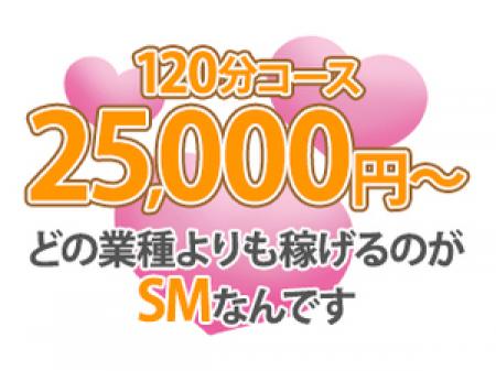 SM初心者もしっかり稼げる!