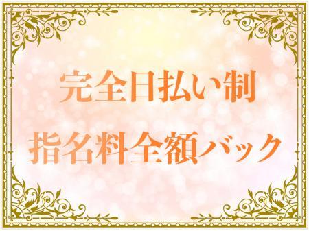 全額日払い制