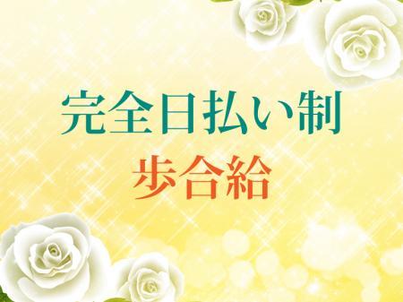 完全日払い制