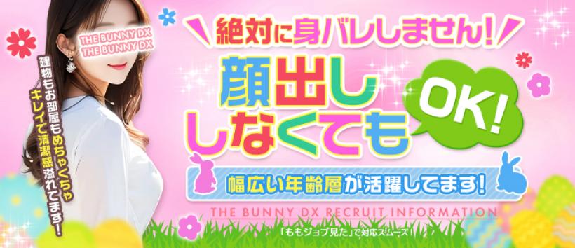 THE・BUNNY DXの求人
