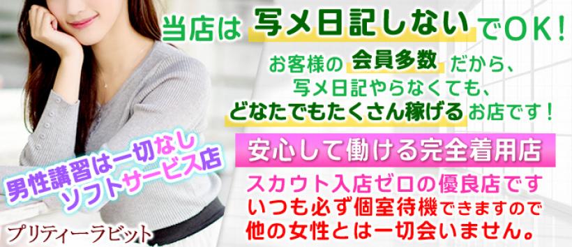 プリティーラビットの求人