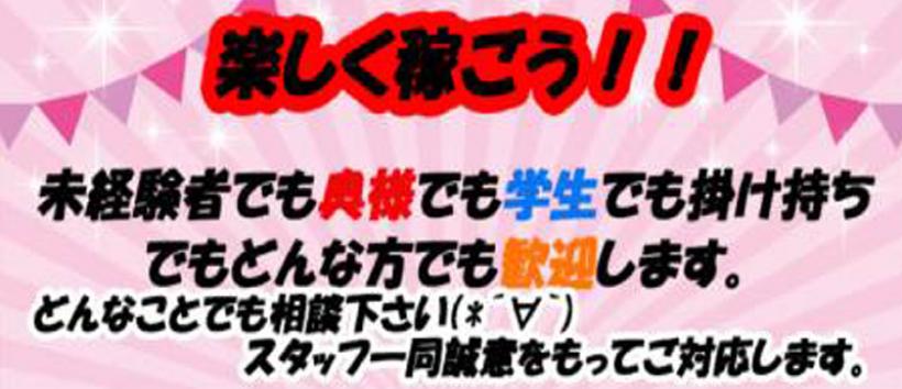 ナイトキッスの求人