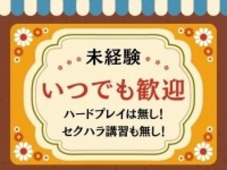 未経験いつでも大歓迎!