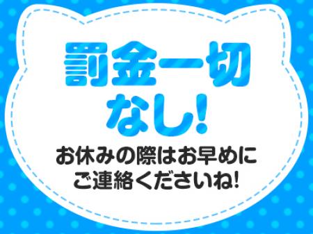 【罰金・ノルマなし】