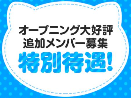 追加メンバー募集中！