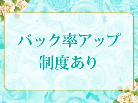 バック率アップ制度あり