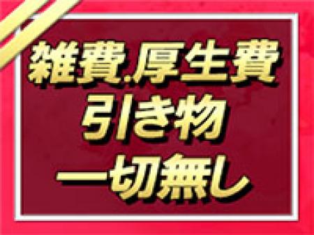 引き物一切無し!