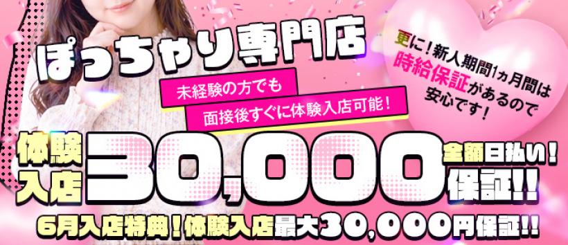 神戸ぽっちゃりTIGERの求人