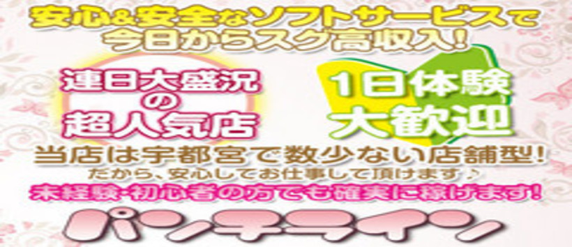 ニューサロン パンチラインの求人