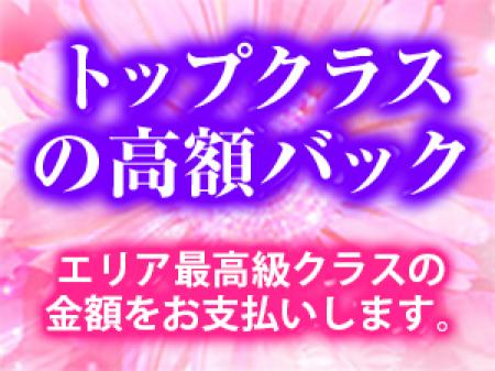 必ず稼げます!