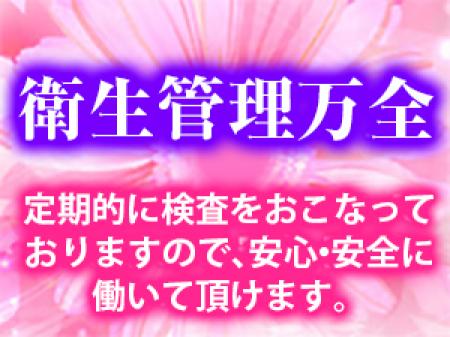 ソフトサービスなので安心。