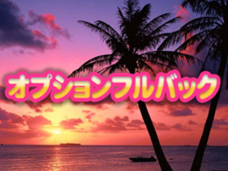 オプションフルバック