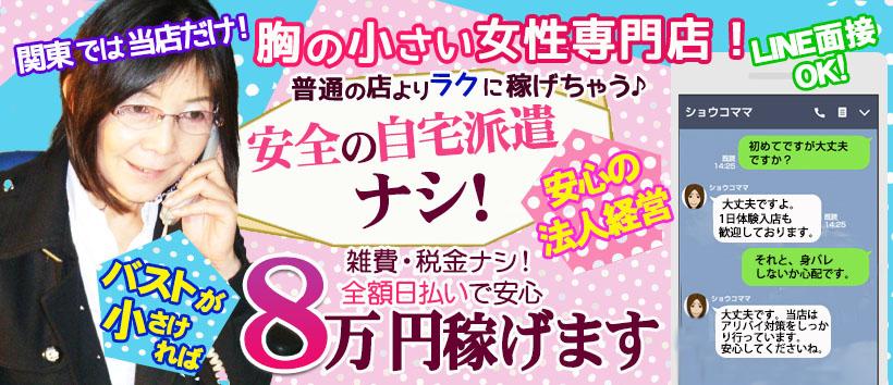 貧乳パラダイス