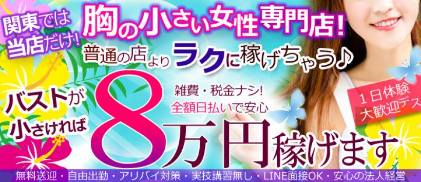 貧乳パラダイス