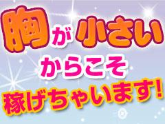 貧乳パラダイス