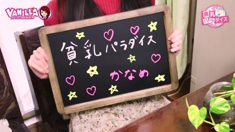 貧乳パラダイスのお店PR動画