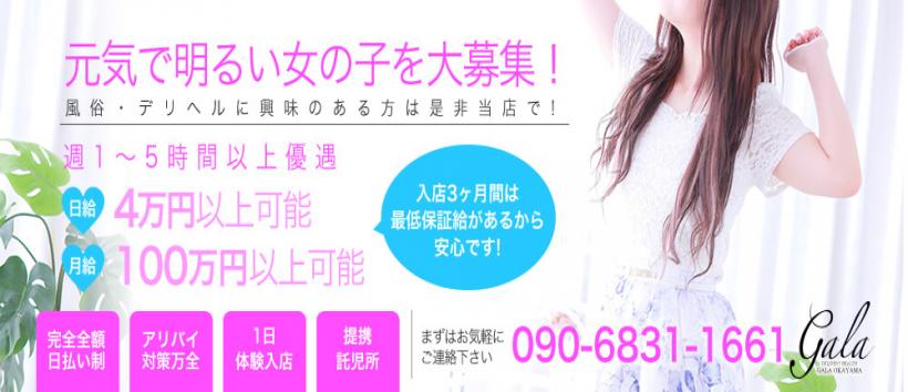 D-GALAの求人