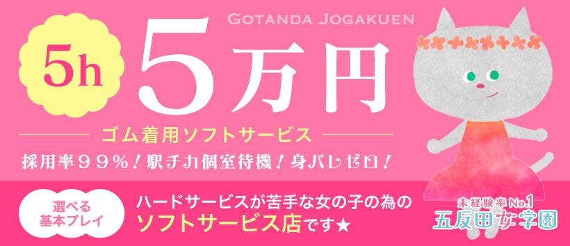 五反田女学園の求人