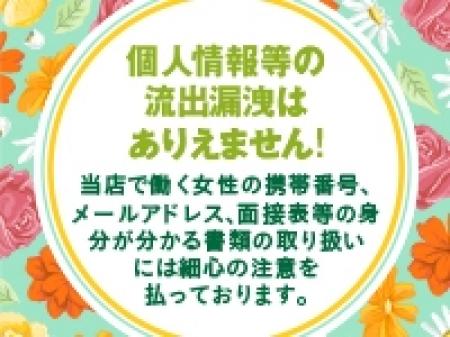 完全秘密厳守!!