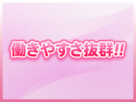 アットホームで働きやすさ抜群!