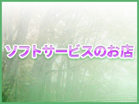 ソフトサービス主体のお店です