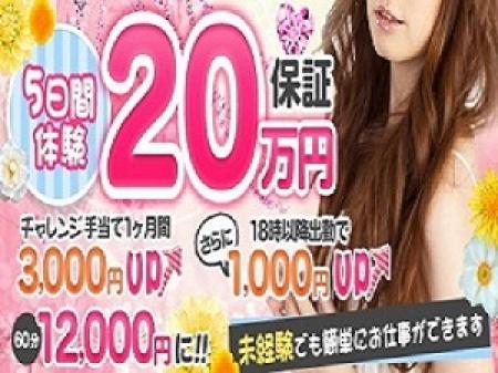 体験保証あり!!