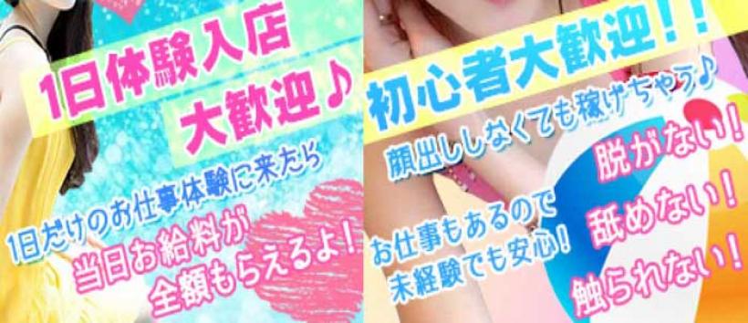 フェアリー京都舞鶴の求人